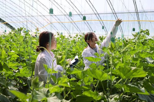科技小院模式为江苏农业农村高质量发展注入新动力