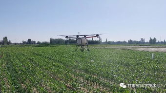 强化科技支撑 加快蔬菜产业发展 肃州省级农业科技园区