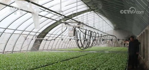 抓春管备春耕 农业科技服务提升效率与效益