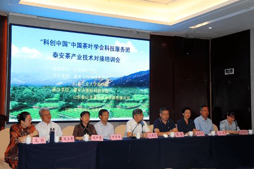 科创中国 中国茶叶学会茶产业科技服务团 泰安 技术对接培训会在泰安召开