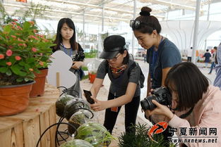 20载扶贫协作结硕果 闽宁镇移民移出新生活