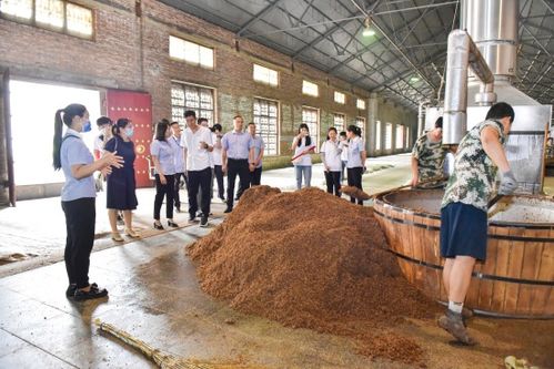 河北农业大学食品科技学院师生赴 刘伶醉 开展社会实践活动