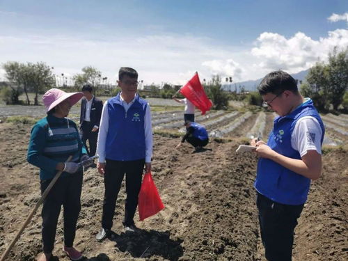 走田间 去地头,供服务 保丰收 顺丰洱海环保科技股份农化服务队田间服务烤烟种植户 烟草