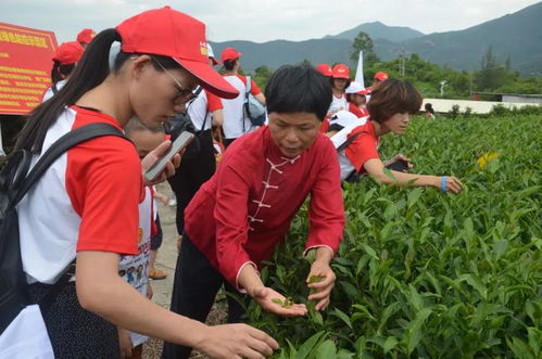 上榜 全国巾帼现代农业科技示范基地