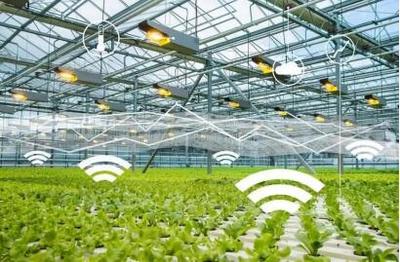 线上绿色农业:绿色农产品牵手“互联网”,带来新机遇