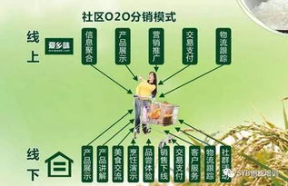 农业电子商务发展对策