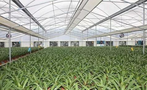 财政部公示21个国家现代农业产业园,服务现代农业我们是认真的