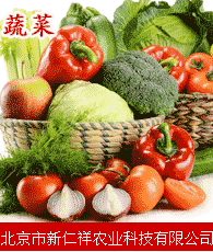 蔬菜企业大全 蔬菜企业大黄页 蔬菜生产商