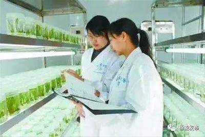 “互联网+农业”