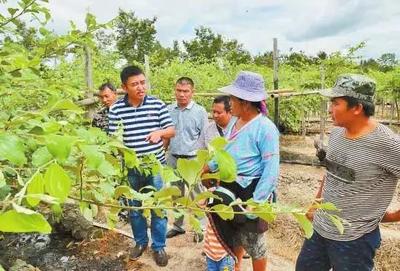 农民丰收节杨凌分会场这些做法成效获点赞