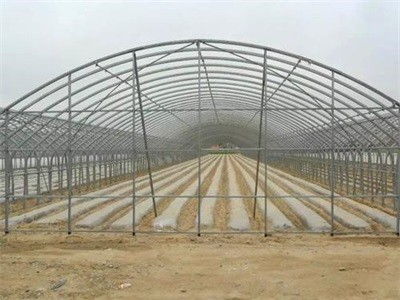 蒙城县寿光温室大棚造价低速度快还是选顺合