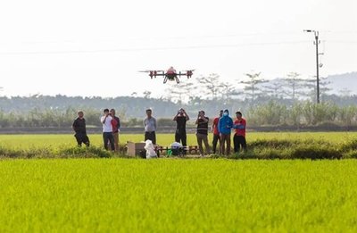 农业的未来在哪里?