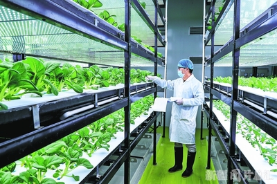 科技扮靓“春耕图”