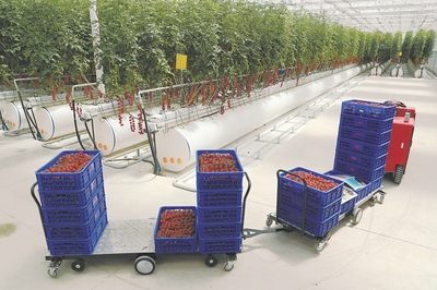 【大国粮策】科技赋能喜耕田