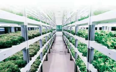 创新驱动!国家电投科技创新成果落地