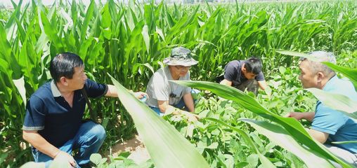 银川市农业农村系统深入田间地头宣讲党代会精神