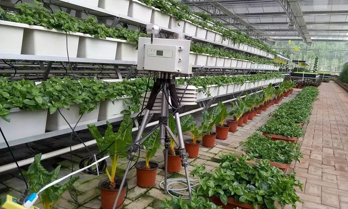 原来农业这么“高大上”,为您盘点精准农业领域的10项尖端技术_科技_网