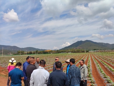 昆明市种子管理站联合昆明市烤烟生产办公室到寻甸县开展科技增粮服务工作