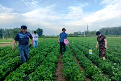 学党史办实事!河南桐柏县将农业科技送到田间地头