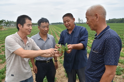 河南省正阳县政协精准扶贫 科技进田--人民政协网