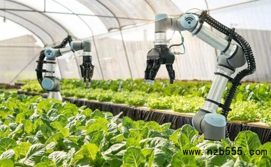 中国智慧农业:政策的宠儿,但还是处于初级阶段,未来如何跃迁