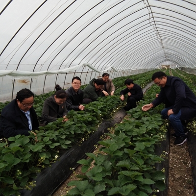 田家庵区科技特派员对接农业基地