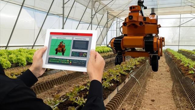 未来农村的发展格局:养老服务,高科技农业,机械化,自动化