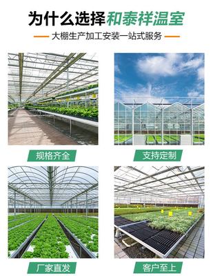 和泰祥农业科技制造农业蔬菜种植养殖连体大棚温室大棚安装