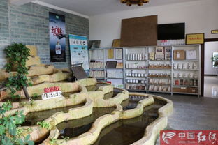 大抓电商 畅通经济循环渠道