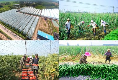 湖北领尚:插上科技翅膀 助力乡村振兴