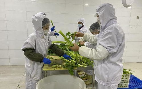 涞水发展 订单 保底 式消费扶贫助农增收