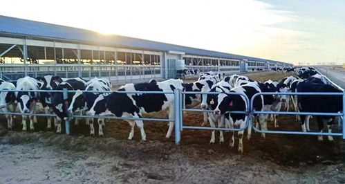 农发行金昌市分行推动农业科技加速转化