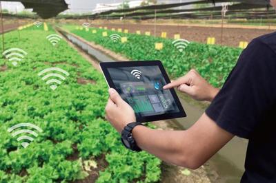 麦麦科技获数千万元天使轮融资 发展ToB端智慧农业科技服务平台