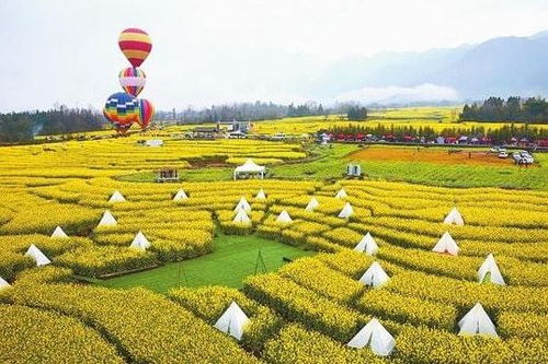 政策 国家发力农业服务创新 温氏 楼房养猪仍处于试验阶段