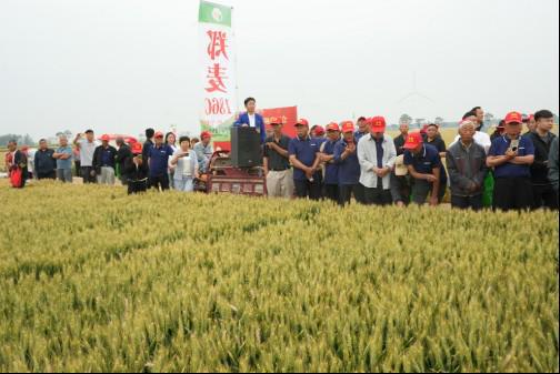 优特产业支撑计划优质小麦专项在滑县召开观摩会 郑麦1860树立 种粮一体化 新标杆