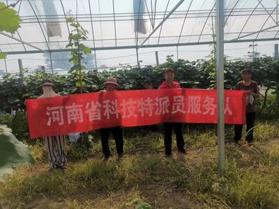 河南省科技特派员王尚堃赴郸城县开展‘阳光玫瑰’葡萄栽培管理技术服务指导