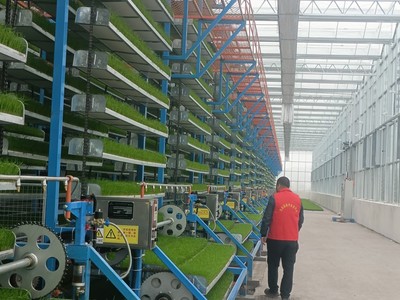 新农人(69)|春耕尽显"科技范"!这座智能育秧工厂的"管家"就是他