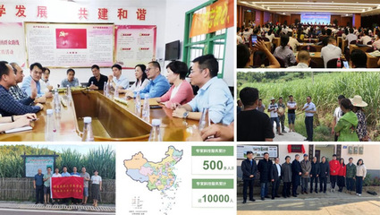 党建巡礼·样板支部 | 党建引领聚合力,守护中国“糖罐子”