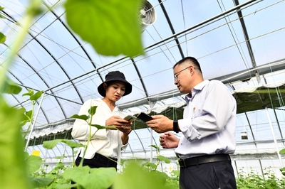 地头来了乡村振兴服务队