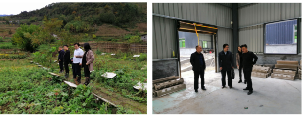 农生学院组织“专家团队”深入企业开展科技服务