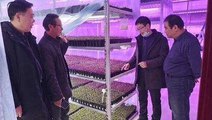 风雪无情人有情 科技服务暖人心