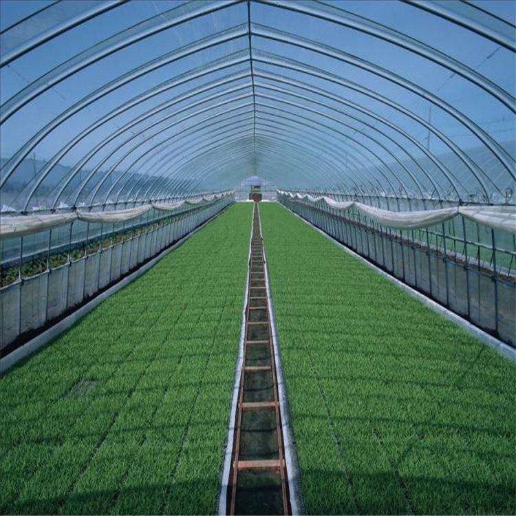 产品报价 连栋薄膜温室 薄膜温室大棚 服务热线 - 寿光市方立农业科技