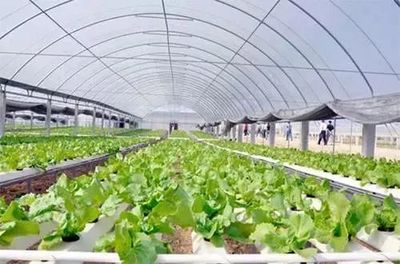 【政策解读】农业农村部关于发展现代设施农业的指导意见