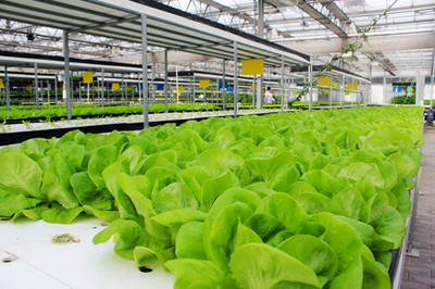 中国科技农业展示园