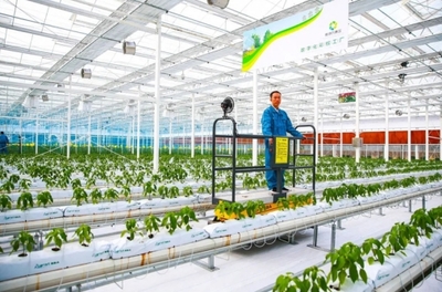 乘“数”而上,浙江让农业更“聪明”