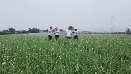 河南柘城:科技特派员送“技”下乡