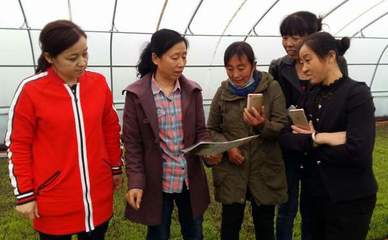 我校农业科技创新服务团队深入基层服务百姓