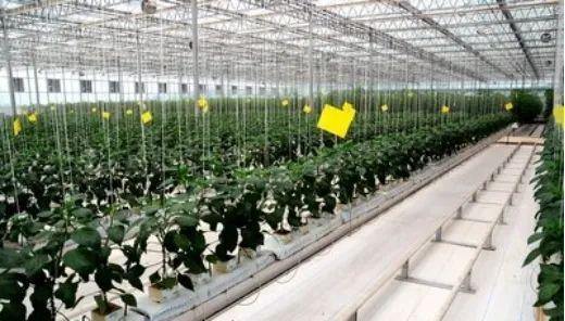 农业特色小镇中的三大类产业,缺一不可