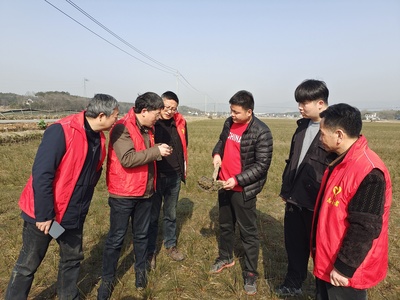 【一改两为系列报道9】太湖县农技人员奏响志愿服务“春耕曲”