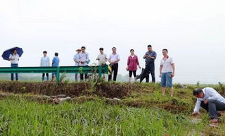 湖南省农业科学院专家来湘潭县开展抗灾减损科技服务工作